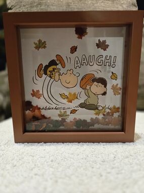 Celebrate Together Peanuts Football Caption Box NWT